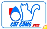 cat_cam_logo.jpg