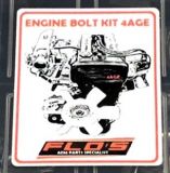 engine_bolt_kit.jpg